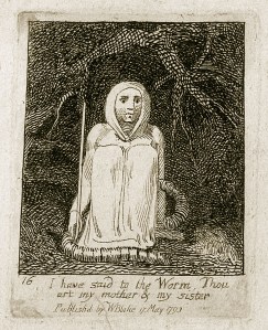 Verme nel suo lenzuolo funebre - W. Blake - 17 maggio 1793